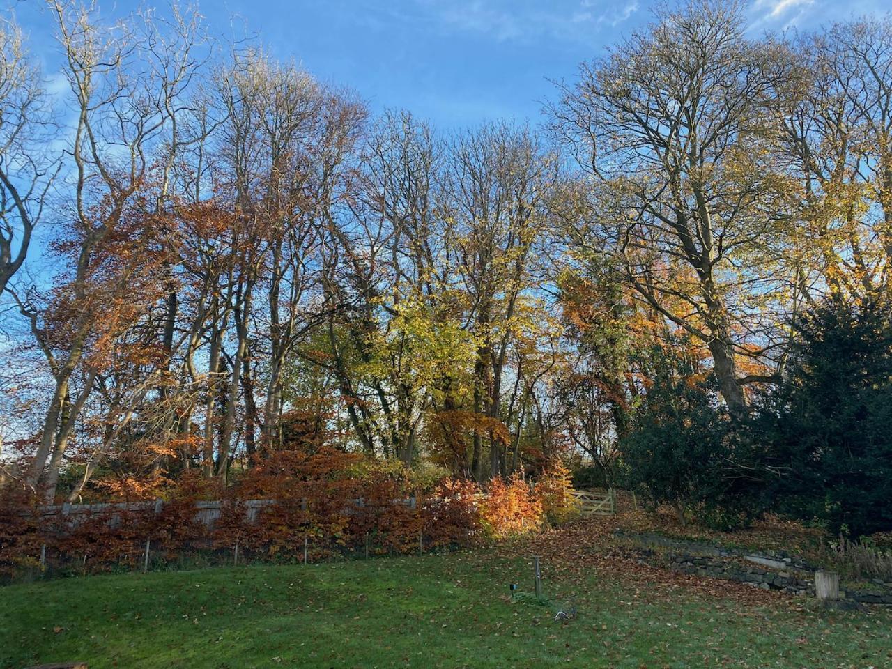 Mill Cottage Garden Studio Nr Melrose Exterior photo
